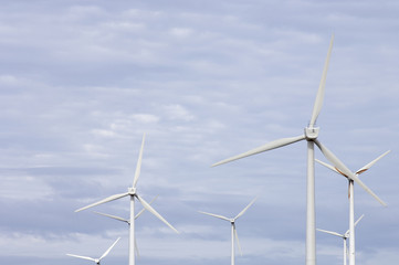 Fototapeta premium windmills group