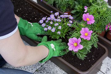 Gartenarbeit