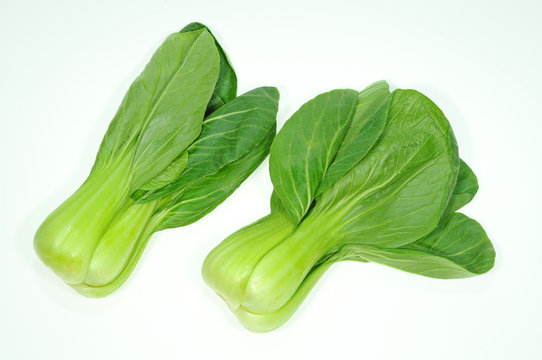 Chinese Cabbages,  Vegetable On White Background