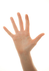 sch&ouml;ne Hand