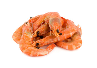 Shrimp isolated
