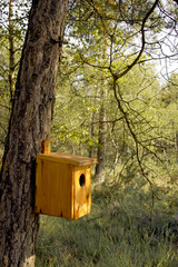 Bird house hanging on a tree trunk