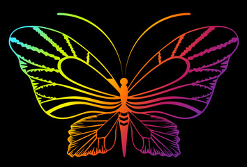 Fototapeta na wymiar Abstract Butterfly. Beautiful vector illustration