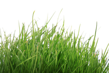 Green grass