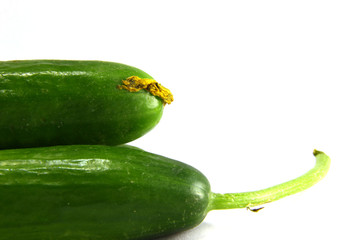 cucumber