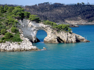 Fototapeta na wymiar naturalny kamienny most w wybrzeża