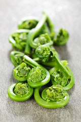 Fiddleheads