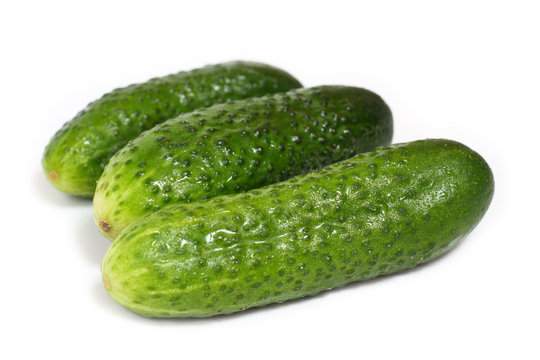 Cucumber