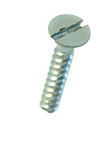 Silver screw