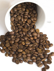 coffee beans
