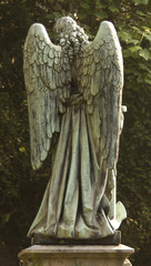 Engel Rückansicht