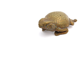 Frog paperweight