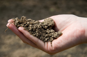 Hand mit Erde
