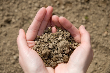 Hände mit Erde