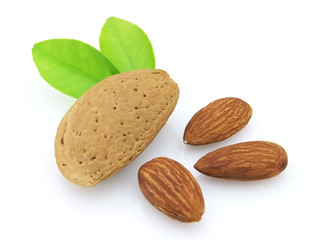 Almonds with leaves