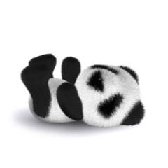 3d Teddy falls asleep © Steve Young