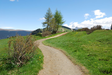 Fototapeta na wymiar Chodzenie na szczycie wzgórza