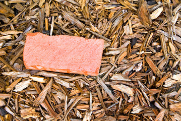 Red Brick in Mulch