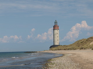 Naklejka premium OLYMPUS DIGITAL CAMERA