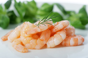 Salade Crevette