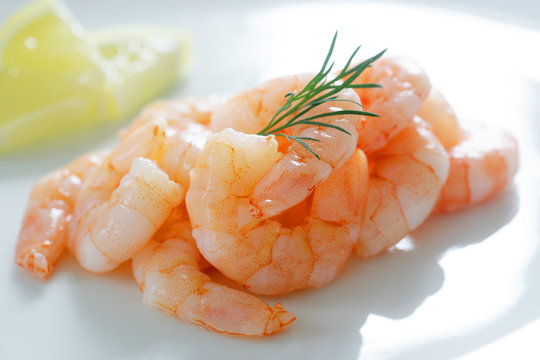 Salade Crevette