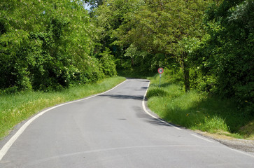 Rural road on bright sunny day