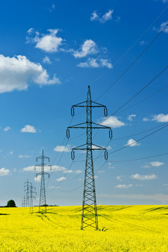 Elektrizität Rapsfeld im Frühling