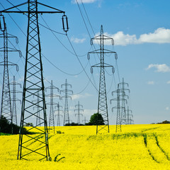 Stromleitung Raps erneuerbare Energien