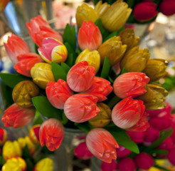Obraz na płótnie Canvas collor full wooden tulips