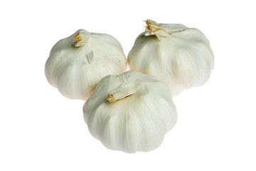 three Garlics isolated on white background