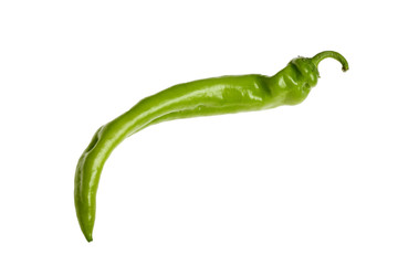 green chillies isolated on the white background