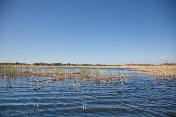 Danube Delta