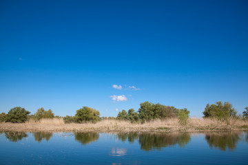 Danube Delta