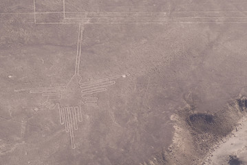 Naklejka premium Colibrí, Líneas de Nazca