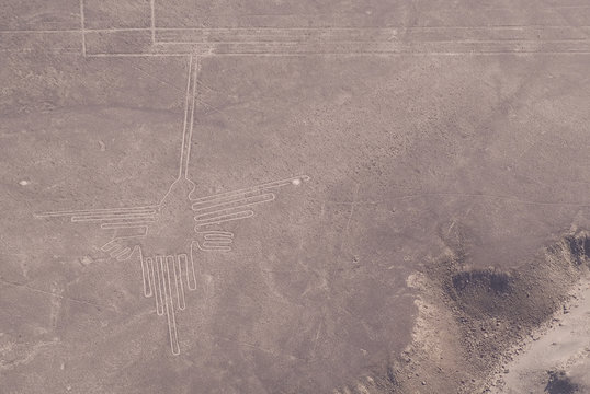 Colibr&iacute;, L&iacute;neas de Nazca