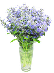 Naklejka na ściany i meble bouquet of field violet flowers in vase
