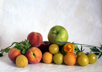 Naklejka na ściany i meble Multi fruits
