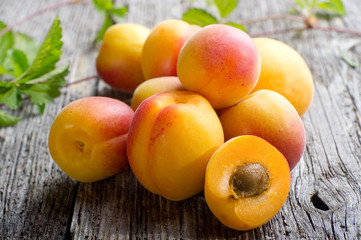 apricot group- albicocche su legno