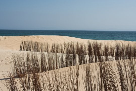 dunas con barreras naturales