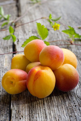 group of apricot -  albicocche su legno