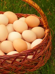 Eggs in the basket