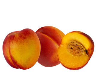 Fruit  hybrid  peach  apricot