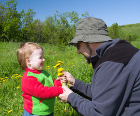 small girl and father  on meadow