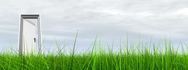 High resolution 3D white door opened in grass to the sky