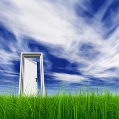High resolution 3D white door opened in grass to the sky