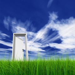 High resolution 3D white door opened in grass to the sky