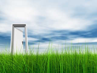 High resolution 3D white door opened in grass to the sky