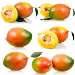 Collection of ripe mango fruits with leaves