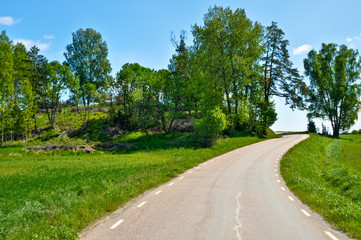 Fototapeta na wymiar Schwedische Landstraße
