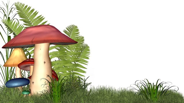 Fairy toadstools on white with copyspace